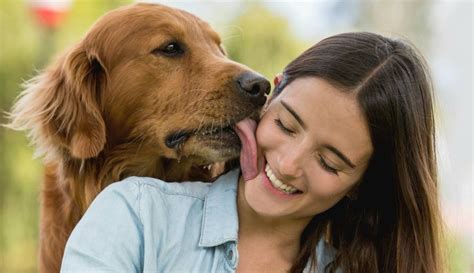 mujeres follando con perros grandes|Mujer folla por toda la habitación con perro grande